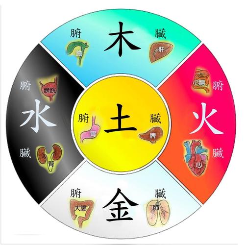 1998年土命五行缺什么