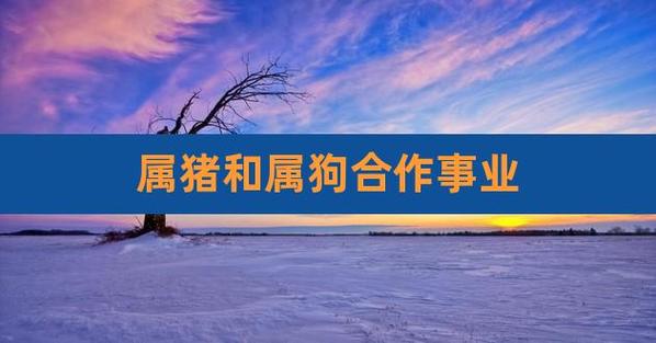 生肖猪2022可以养宠物狗吗,猪和狗属相相冲不