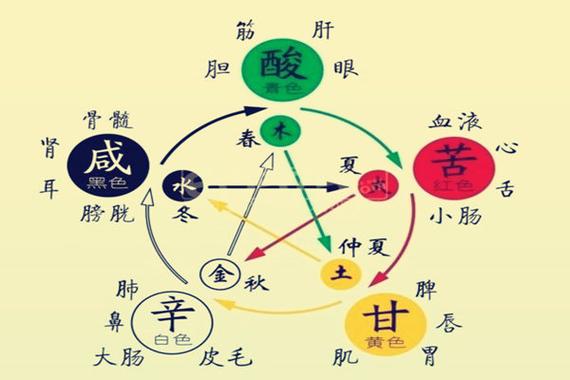 八字五行看身体健康如何及对应