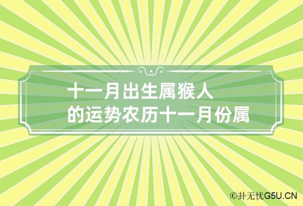 属猴人出生月的运势运程大全