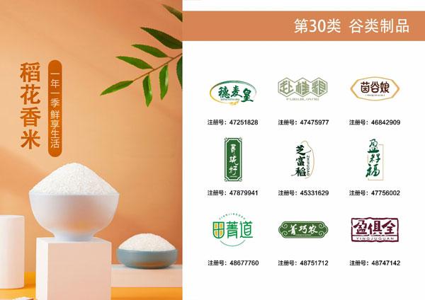 大米公司取名字