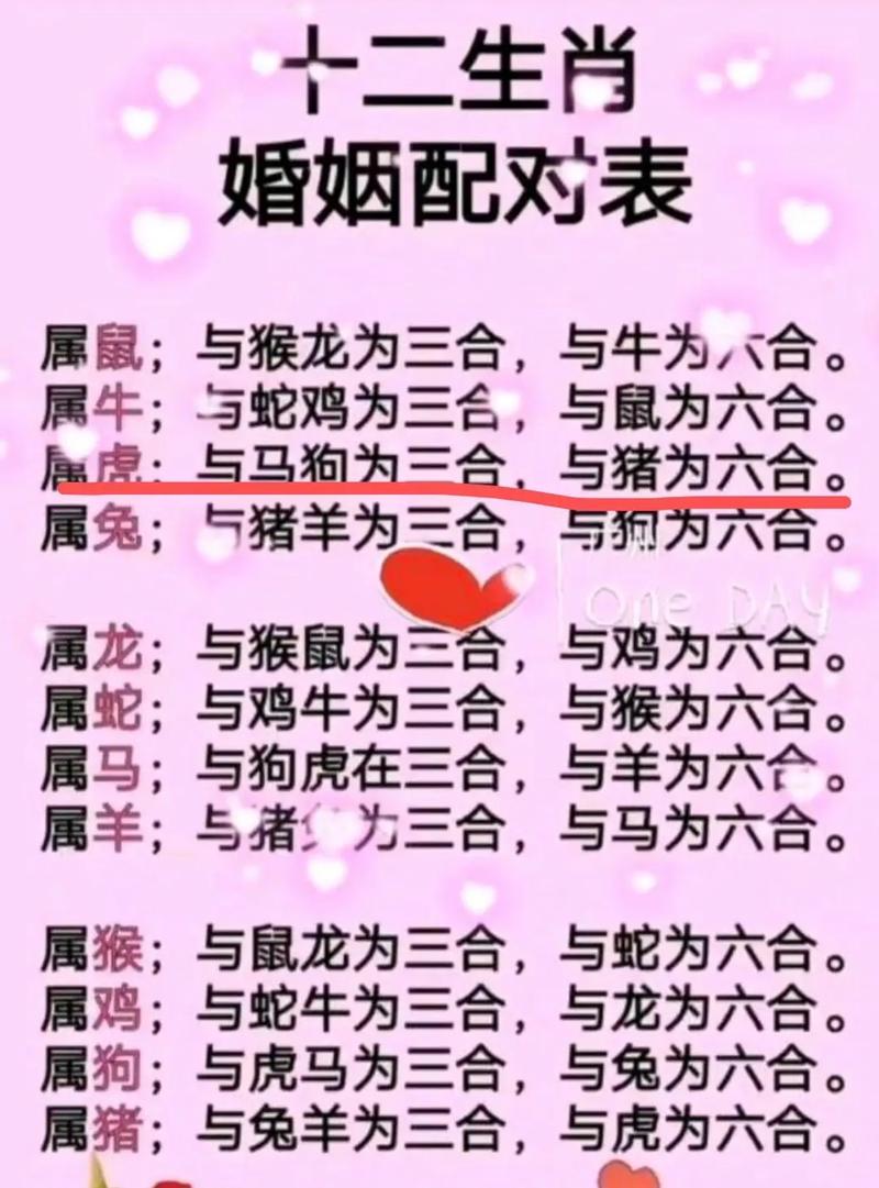 十二生肖虎的最佳情感伴侣