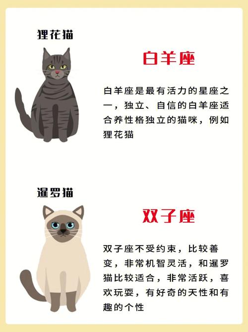 12星座最适合养什么动物之处女座