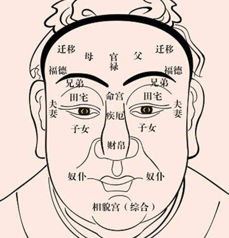 腾蛇入口面相参考图片详细解析