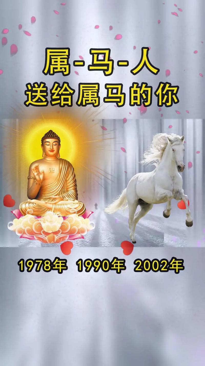 属马人的爱情是讲究还是将就