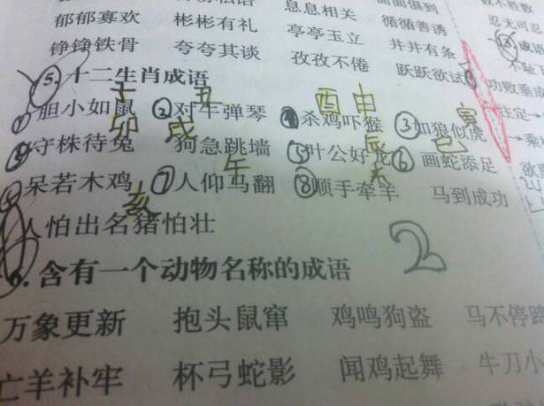 生活中总是夸夸其谈的五大生肖