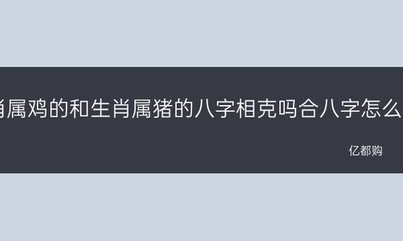 男猪女鸡合不合适?生肖鸡的命理如何?
