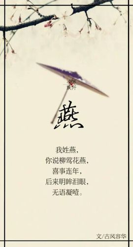 燕姓豪迈霸气的一字名字