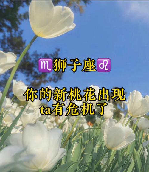 2019年圣诞节狮子座的桃花势好吗,和什么星座适合恋爱