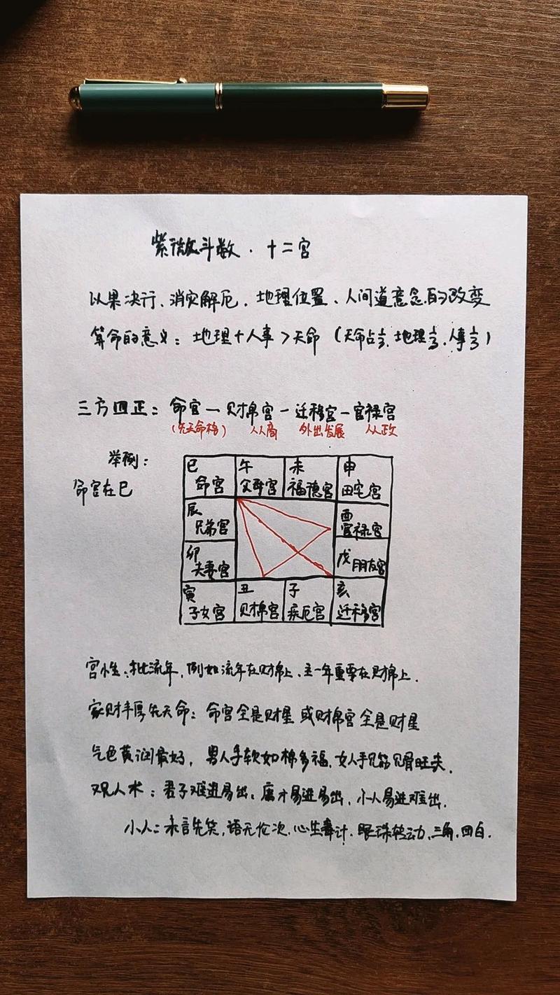 紫微斗数排盘解析,巨门化权是什么意思?