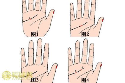 感情线上有岛纹手相图解