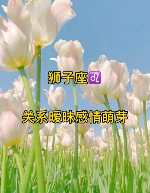 狮子座喜欢玩暧昧吗