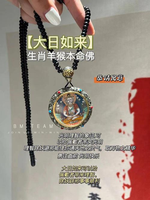 生肖守护神续(生肖守护神雨眸后续)