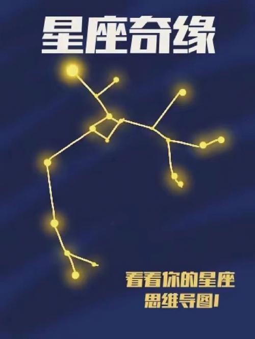 冷静客观 这些星座的思维从不受感情影响