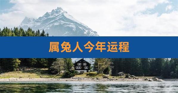 2022年8月属兔的婚姻感情走势
