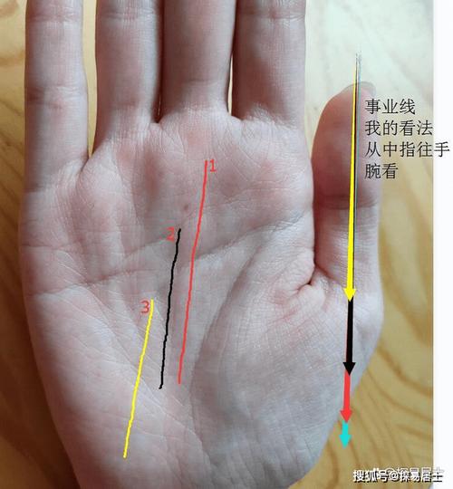 领导纹手相 手相公职纹