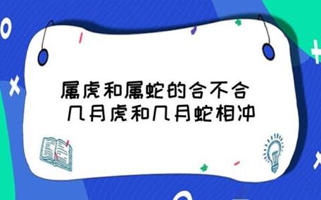 男虎女蛇谈恋爱会有结果吗?属虎B型血白羊座的爱情观如何?