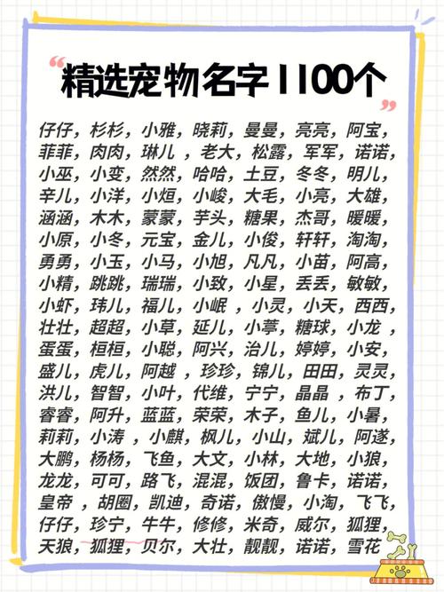 与众不同的宠物好听的名字有意义