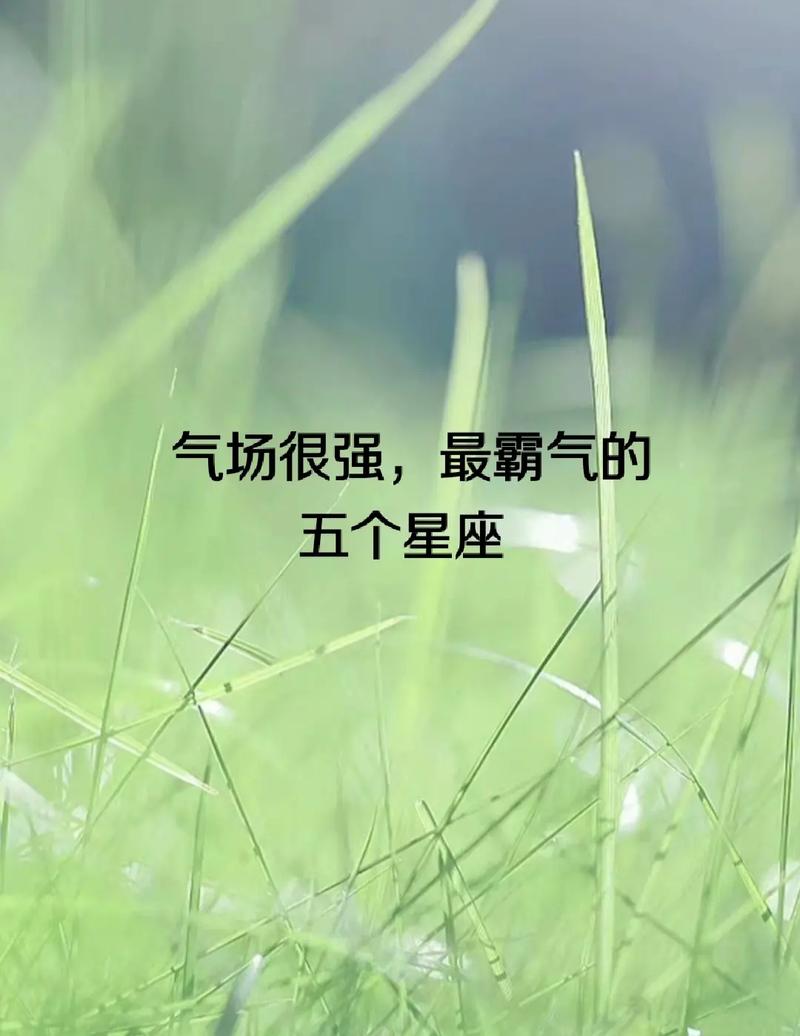 气场很强很吓人的星座