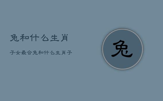 属兔和什么属相好