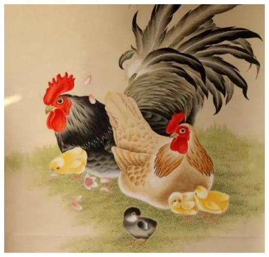 牛和鸡在一起财运好吗