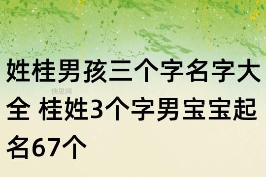 寓意好的桂姓男孩名字