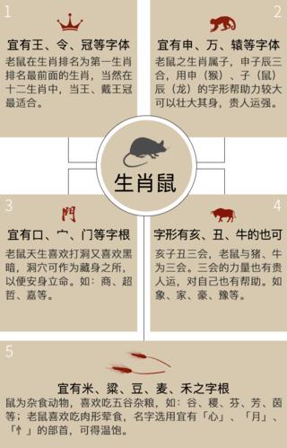 生肖鼠配对中的禁忌