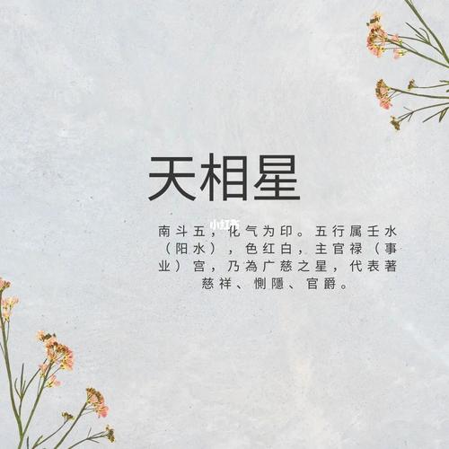 天相星领导下属组合