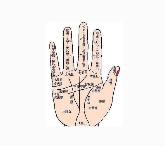 女人右手婚姻线图解