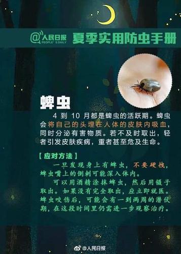 属龙人房间进飞虫会如何驱赶走