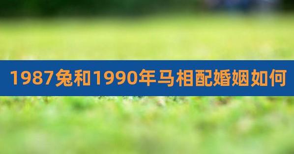 1987男兔1990女马婚姻好吗