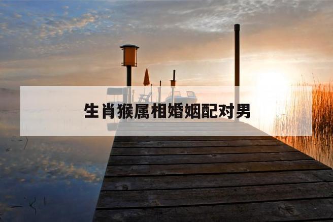 属猴男人的婚姻