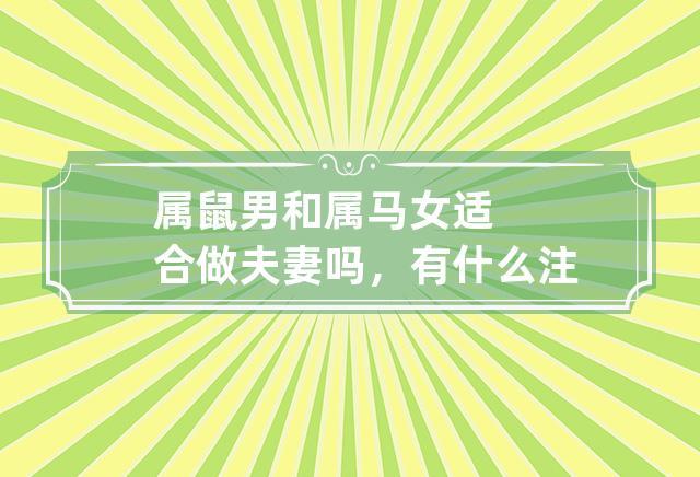 属鼠男和属马女可以做夫妻吗