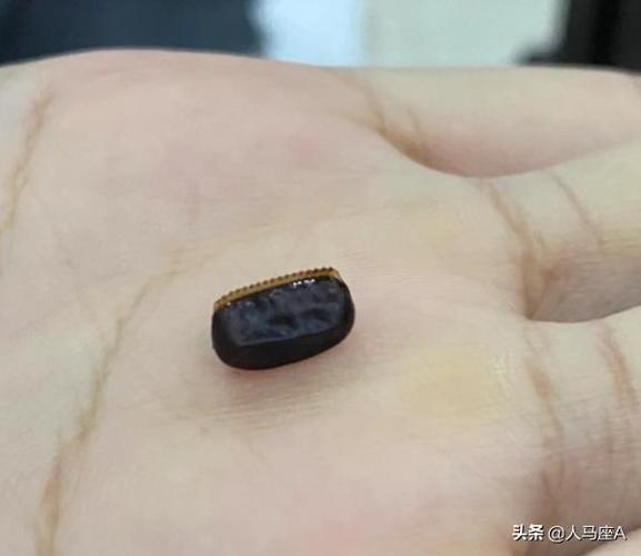 梦见消灭了虫卵是什么意思