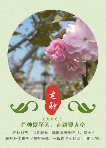 2020闰四月十四6月5日芒种节气适合求嗣吗?