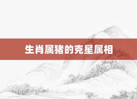 属猪人一辈子的克星