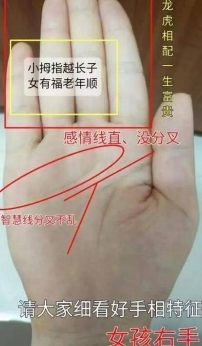 手指短的女人是旺夫命,五种享福命的女人手相
