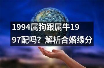94年属狗和97年属牛的配不配