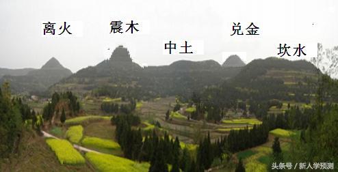茱萸及罗汉松各有何风水作用?