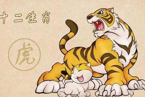 属虎如何过上高级生活