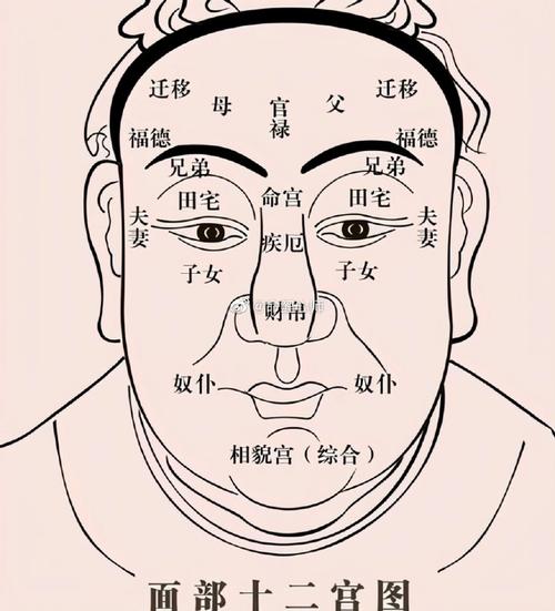 面相占卜算命分析