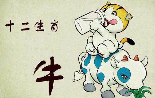 生肖属牛的父母不适合生什么生肖属相的小孩