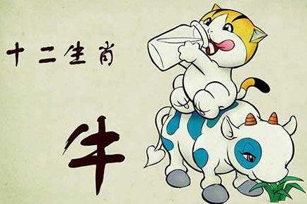 属牛的在虎年的运势