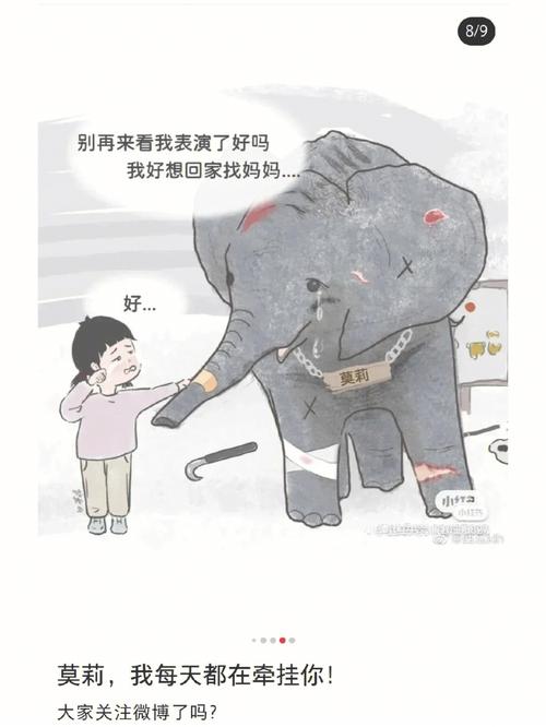 孕妇梦见小象预示着什么