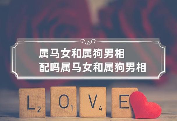 属狗男生和属马女生在一起合适吗?缘分深吗?