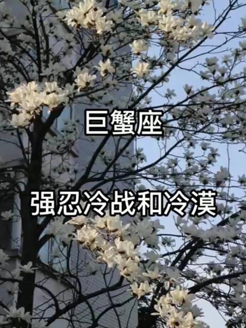 巨蟹摩羯冷战谁会输