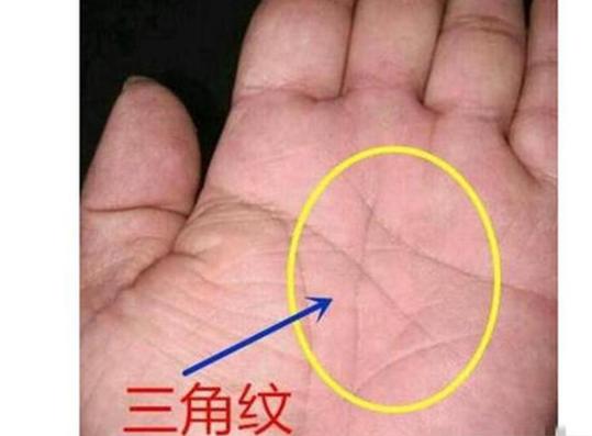 元宝纹男人手相图片