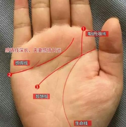 手相中这条线深长,弯曲有情,福禄自天来!
