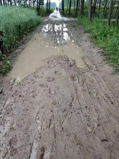 梦见烂泥,稀泥