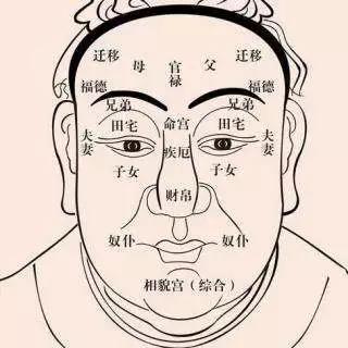 擅长抓住时机的人面相特征有哪些